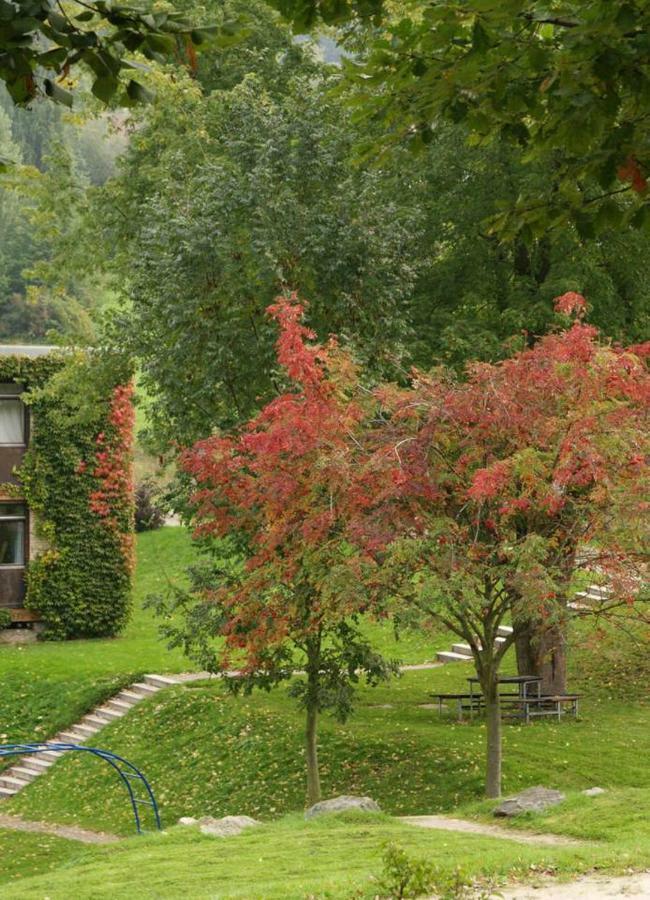 Waldblick Appartement Ober-Hambach 외부 사진