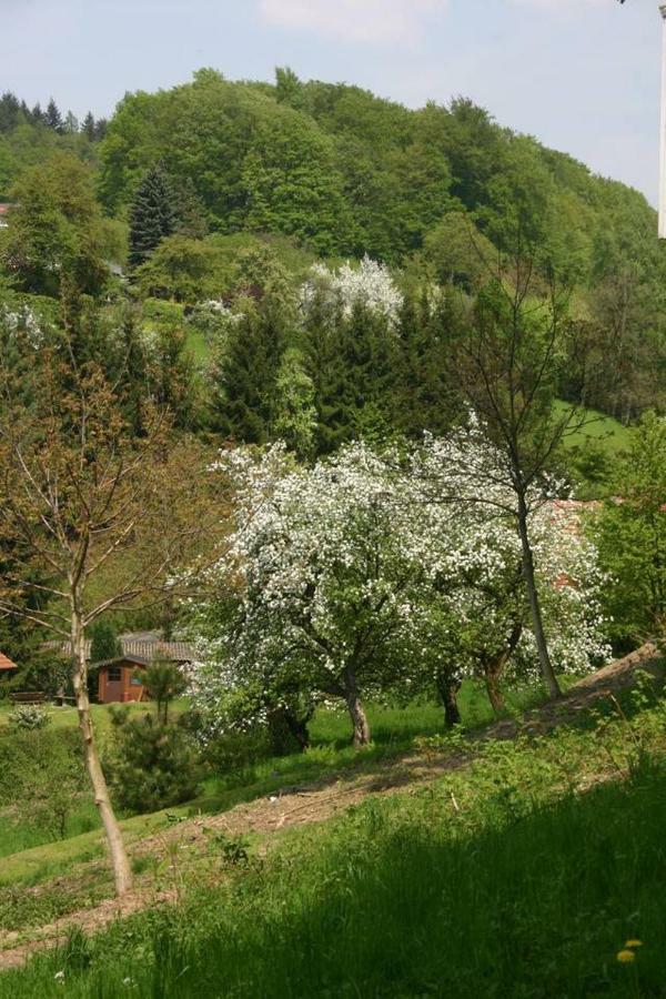 Waldblick Appartement Ober-Hambach 외부 사진